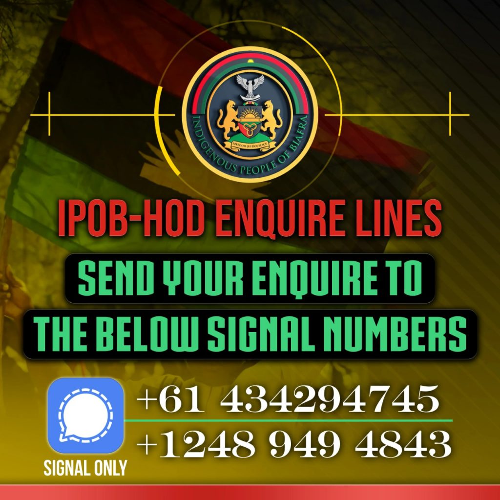 IBPO_contact_details